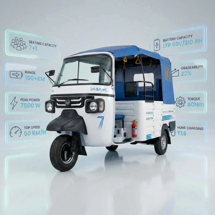 Electric vehicle cargo transport